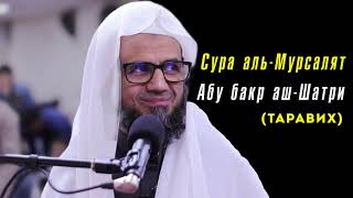 Сура 77 аль-Мурсалят Абу бакр аш-Шатри (таравих) | Abu bakr al Shatri surah al-Mursalat taraweeh