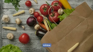 How to Tackle Bad Smell from Garbage Disposal