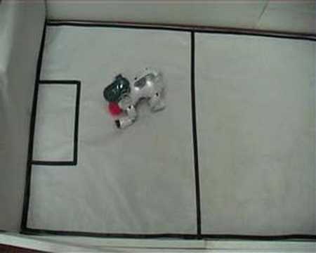 Merry carries a ball to goal