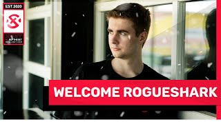 Introducing XSET RogueShark
