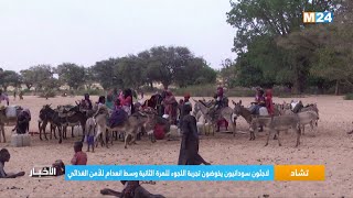 ‎⁨تشاد.. لاجئون سودانيون يخوضون تجربة اللجوء للمرة الثانية وسط انعدام للأمن الغذائي  ⁩