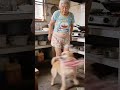 AI creation wave plan, rural life, dog becoming a spirit, rural interesting things, boo absurd vid