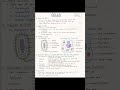 Class 9 Cells # topic# types# diagram #