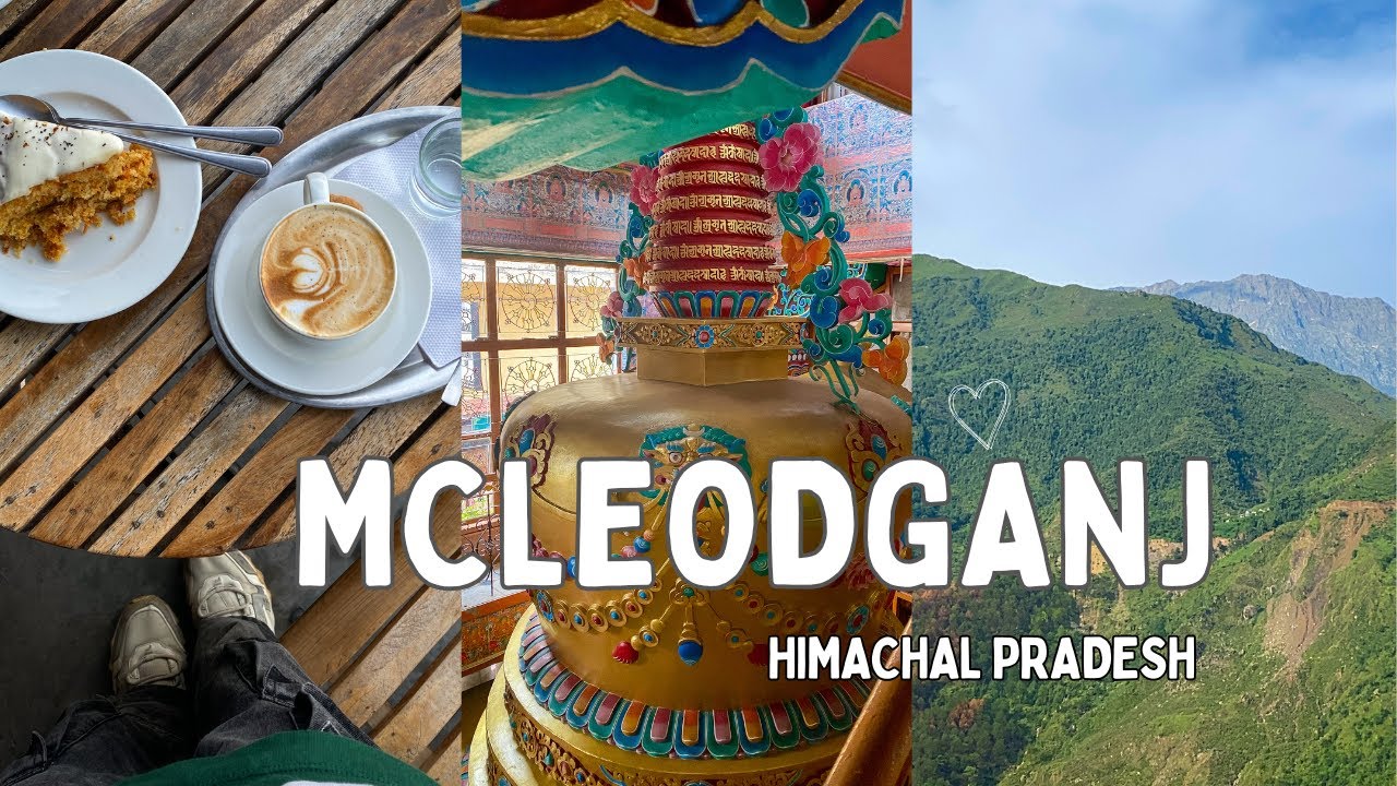 Исследуйте Маклеод Гандж и окрестности! Как местный житель или нет!