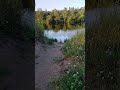 Понял, что она его больше не любит. #фильм #фильмы #моменты