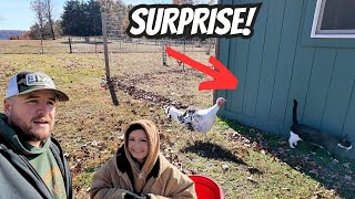 We Never Expected This To Happen!