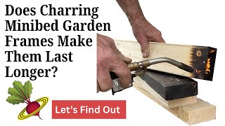 Charring Garden Minibeds For Longevity - A Test