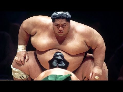 БОЙЦЫ СУМО. Как они живут и тренируются / Самый большой сумоист в истории.