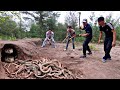 Brave Expert Catchs 100 Dragon Snake By Hands