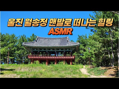 맨발로 걷는 울진 월송정, 바다와 숲 사이 힐링ASMR