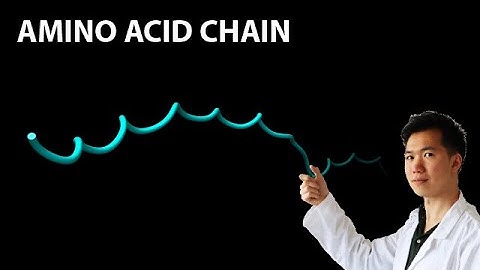 Converting Amino Acid Sequence to Peptide Chain 3D Model with Phyre2
