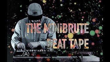 MINIBRUTE 2S User Scale REVIEW - Improvising Live with the Mpc