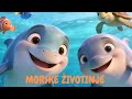 MORSKE ŽIVOTINJE / PESMICA ZA DECU / JECIN VESELI VRTIĆ 🐳🐋🐬🐟🐠🐙🪸🪼🦀 