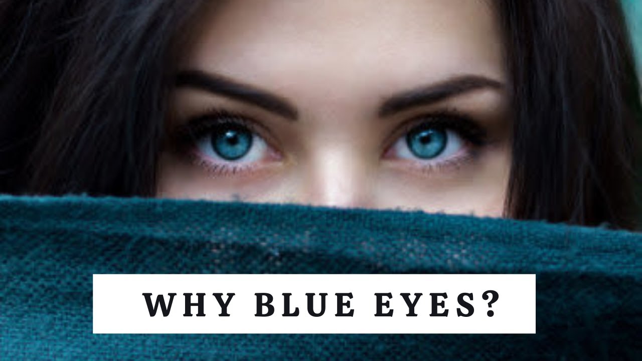 Scientific Fact on Peoples have Blue Eyes ! YouTube