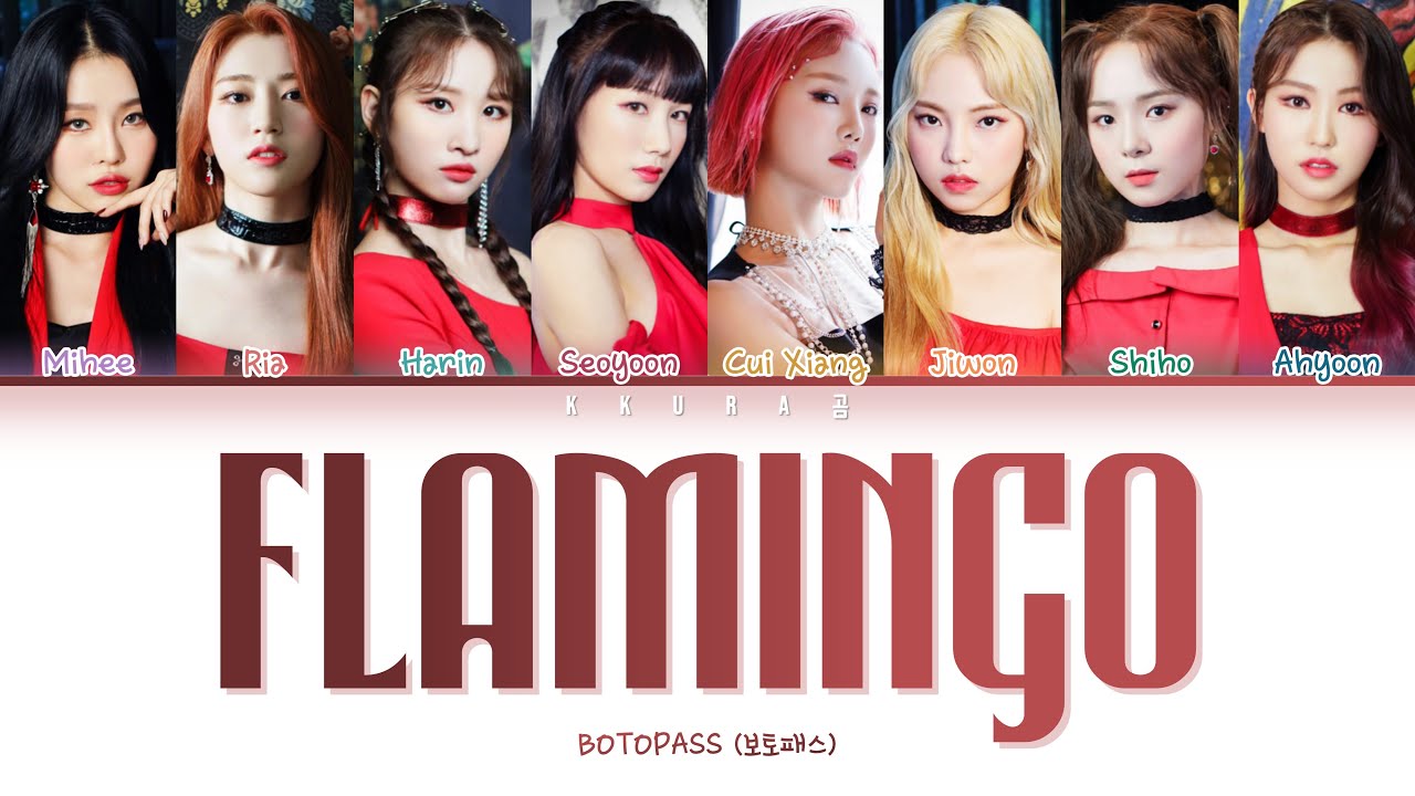 BOTOPASS (보토패스) - 'Flamingo' Lyrics (보토패스 홍학 가사)(Color Coded Lyrics Han/Rom/Eng/가사)