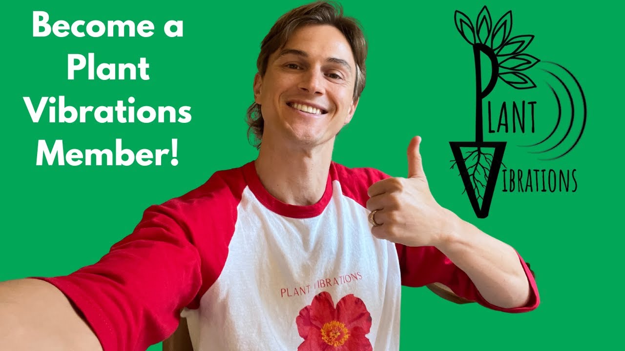 Plant Vibrations Membership YouTube