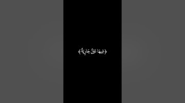 سوره الغاشيه كامله  هَلْ أَتَاكَ حَدِيثُ الْغَاشِيَةِ بصوت القارئ عبدالرحمن مسعد شاشه سوداء