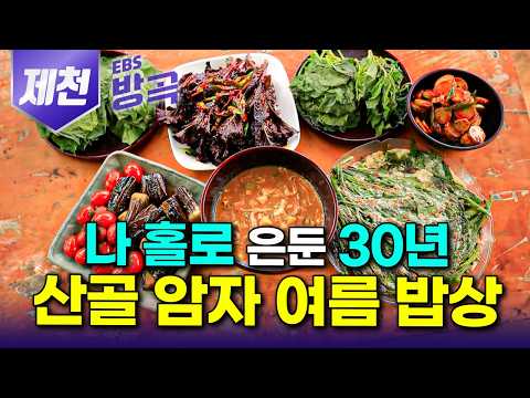 [충북 제천] "비워내면 행복은 따라와요" 홀어머니 눈물 뒤로하고 집도 없는 오지 동굴로 홀로 떠나 30년 정직하게 가꿔 자신만의 낙원 만든 스님｜월악산｜#한국기행 #방방곡곡