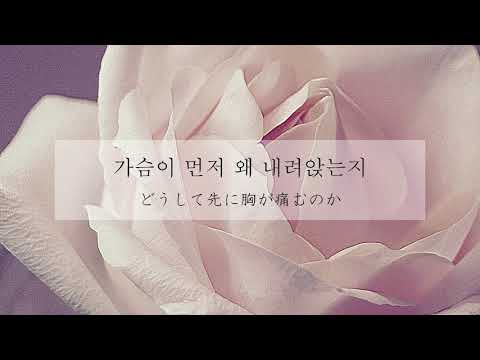 【和訳】Stay With Me - 찬열, 펀치 (CHANYEOL, PUNCH) [도깨비 OST Part.1]