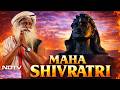 Mahashivratri Aarti: Mahashivratri Celebrations At Isha Yoga Centre With Sadhguru