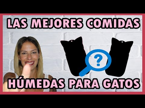 Video: La Mejor Comida Húmeda Para Gatos