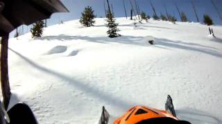 M1000 arctic cat vs skidoo XP
