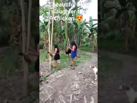 2beautiful Lady slaughtering the 2 chicken