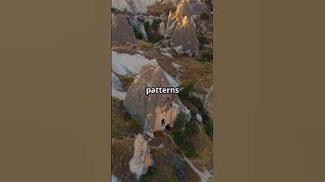 Nature’s Geometry: The Hidden Code of Life