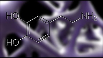 True behavior of  ‘pleasure molecule’ will reshape how we treat psychiatric diseases and addiction