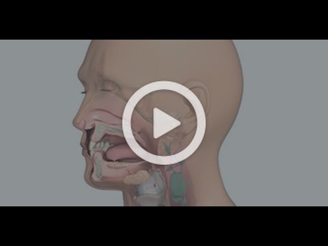 Nasal and Sinus Cancer - What Is It? What are the Symptoms and Treatment? - Head and Neck Cancer