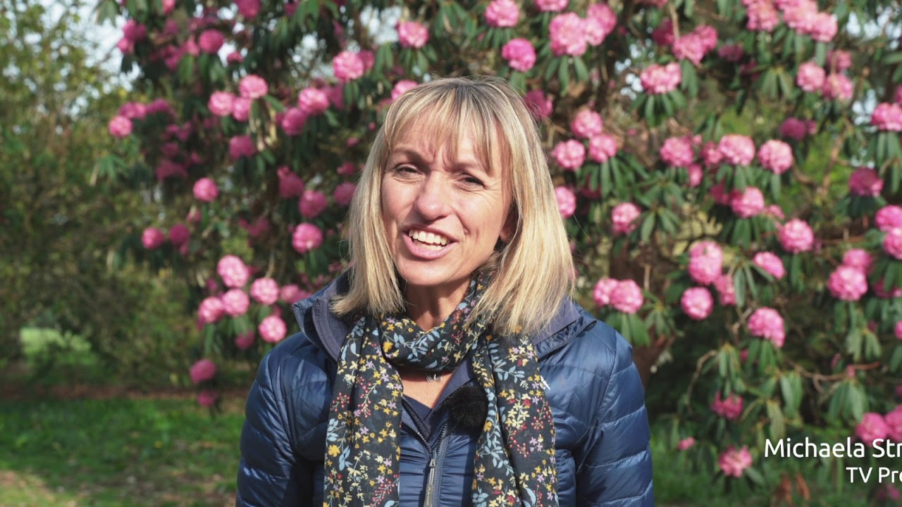 Philip Larkin - The Trees | Read by our centenary ambassadors