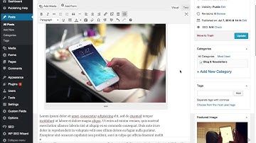 Insert Media into your WordPress site