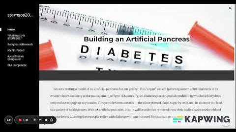 Artificial Pancreas Model - STEM SOS PBL Level 2 Project