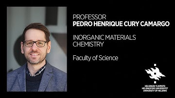 Pedro Henrique Cury Camargo: Nanoparticles can be the superman of chemical reactions