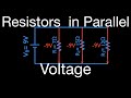 Understanding Voltage Rule for Parallel Resistors