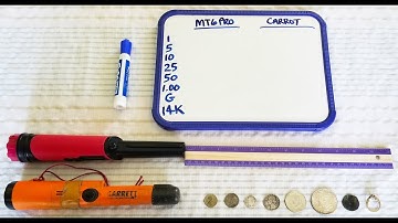 SHOCKING RESULTS!! GARRETT Carrot Killer?? Carrot AT vs Dr Otek MT6 Pro Pinpointer