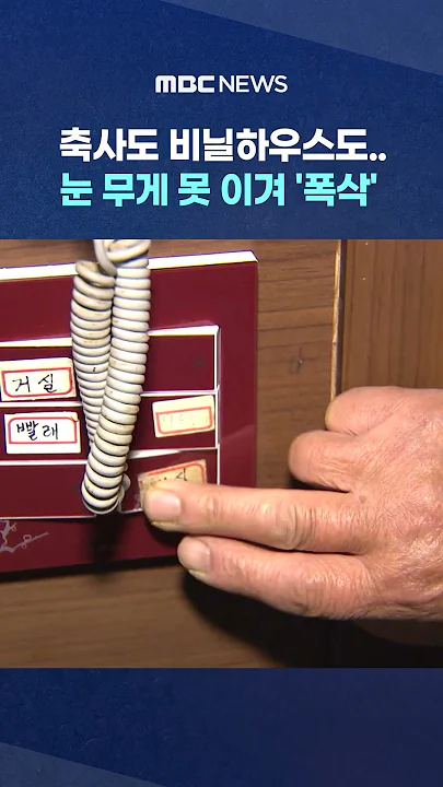 눈 무게 못 이겨 '폭삭' #shorts (MBC뉴스)