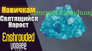 Enshrouded : Как и Где Найти Светящийся Нарост | Гайд НОВИЧКАМ🔥