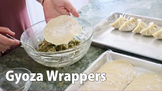 Gyoza Wrappers Recipe  Japanese Cooking 101