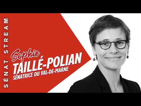 Sophie Taillé-Polian dans l'émission Sénat Stream avec Jean Massiet