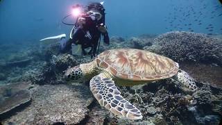 Video voorbeeld van "Sipadan Song 2016"