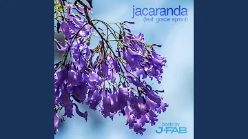 jacaranda