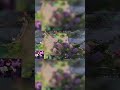 Медиум прожарка меня .... #dota2 #dota #rage #streamer #reels