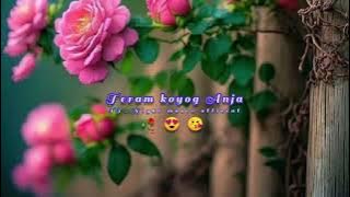 Jivi re//new santhali status//santhali whatsapp status video