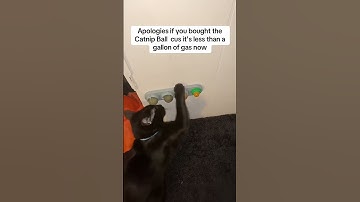 Boost Play & Relaxation with the Petsup Rotating Catnip Ball! #CatJoy