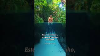 O QUE SÃO OS FERVEDOUROS DO JALAPÃO? VEJA COMO É O FERVEDOURO MAIS BONITO E AZUL DO BRASIL #Shorts