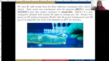 Mathematical Modeling of AMR in Complex Microbial Communities