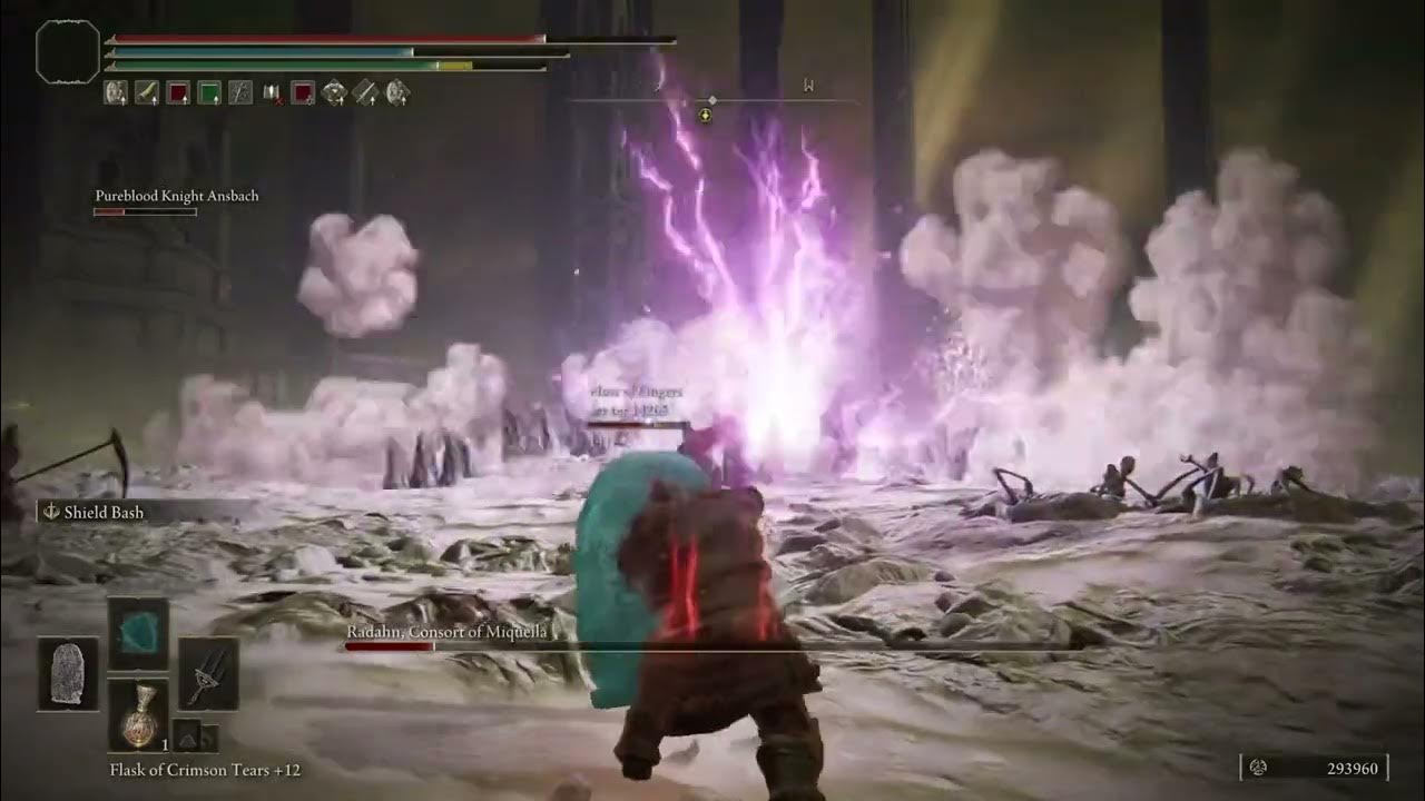 Elden Ring Shadow of the Erdtree let me tank him YouTube