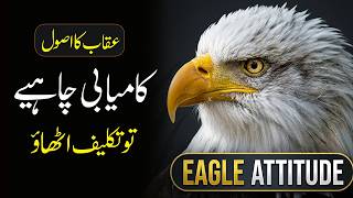 Life Lessons to Learn From Eagle | Wisdom of Eagle That Will Change Your Mindset