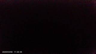 4th video duplicates from cameras MOVI0005
